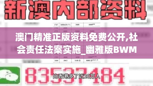 澳门精准正版资料免费公开,社会责任法案实施_幽雅版BWM25.151