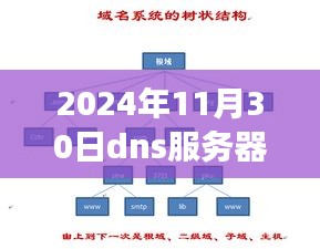 2024年11月30日，探索DNS服务器购买之旅，与自然美景共舞