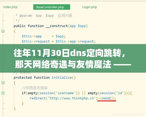 11月30日DNS定向跳转之旅，网络奇遇与友情魔法的交织