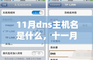 尽心尽力 第5页