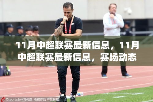 11月中超联赛最新情报，赛场动态与深度解读