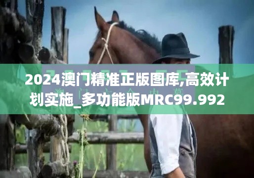 百鸟朝凤 第5页