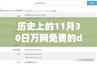 历史上的11月30日，万网免费DNS的利弊分析及其影响