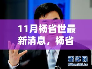 11月聚焦，杨省世最新消息与动态