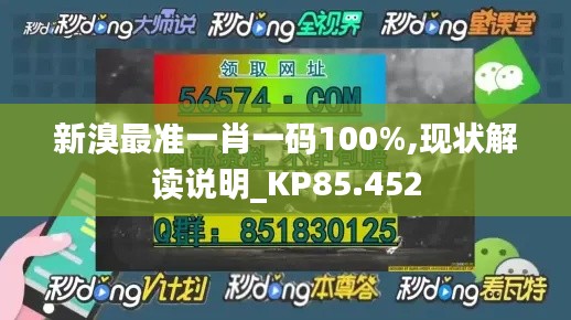 新溴最准一肖一码100%,现状解读说明_KP85.452