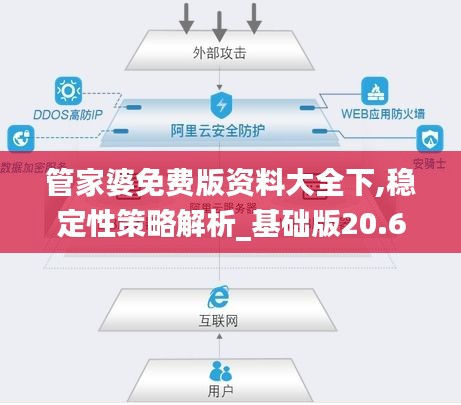 管家婆免费版资料大全下,稳定性策略解析_基础版20.668
