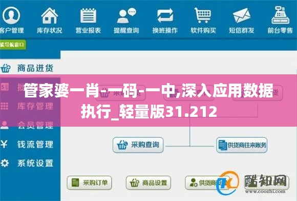管家婆一肖-一码-一中,深入应用数据执行_轻量版31.212