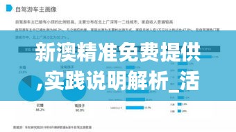 新澳精准免费提供,实践说明解析_活动款85.206