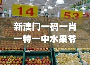 新澳门一码一肖一特一中水果爷爷,执行解答解释落实_机动集63.245