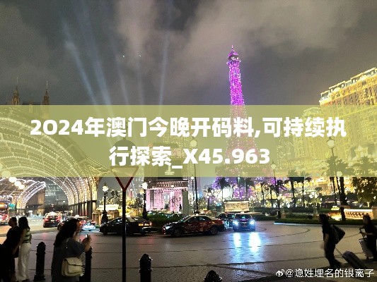 2O24年澳门今晚开码料,可持续执行探索_X45.963