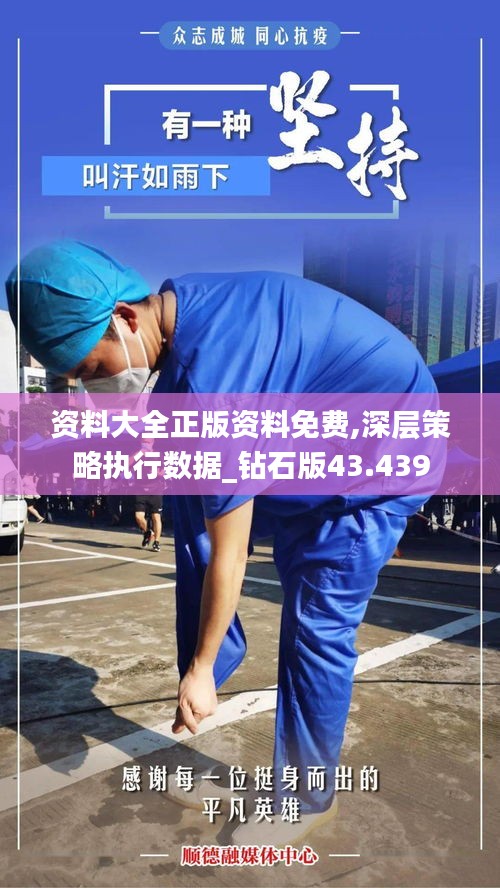 资料大全正版资料免费,深层策略执行数据_钻石版43.439