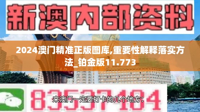 2024澳门精准正版图库,重要性解释落实方法_铂金版11.773