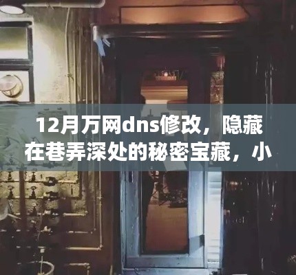 巷弄深处的宝藏与万网DNS的奇妙故事，12月DNS修改揭秘