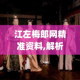 江左梅郎网精准资料,解析解释说法_YIC80.202感知版