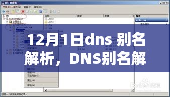 DNS别名解析设置全攻略，初学者与进阶用户操作指南（12月1日更新版）