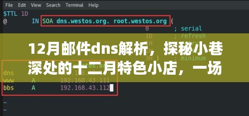 七嘴八张 第3页