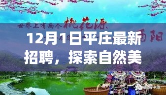 平庄最新招聘启幕，探索自然美景之旅，寻找内心宁静与机遇之约