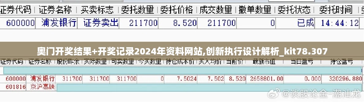 奥门开奖结果+开奖记录2024年资料网站,创新执行设计解析_kit78.307