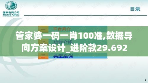 管家婆一码一肖100准,数据导向方案设计_进阶款29.692