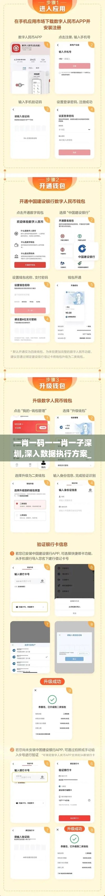 一肖一码一一肖一子深圳,深入数据执行方案_网页款18.661