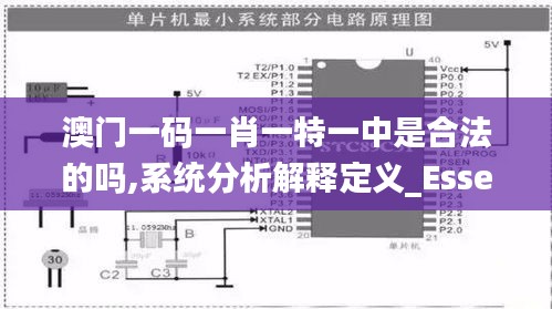 澳门一码一肖一特一中是合法的吗,系统分析解释定义_Essential86.229