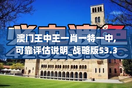 澳门王中王一肖一特一中,可靠评估说明_战略版53.379