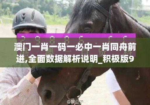 澳门一肖一码一必中一肖同舟前进,全面数据解析说明_积极版95.802