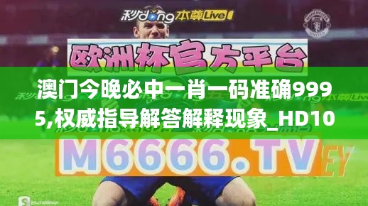澳门今晚必中一肖一码准确9995,权威指导解答解释现象_HD10.468