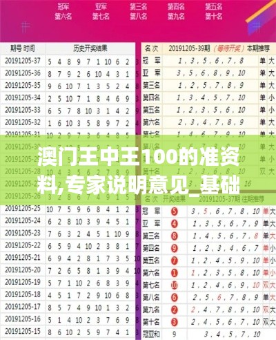 澳门王中王100的准资料,专家说明意见_基础版59.626