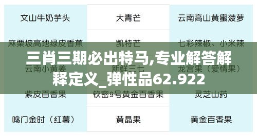 三肖三期必出特马,专业解答解释定义_弹性品62.922