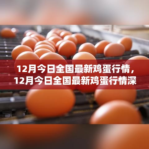 真独简贵 第4页