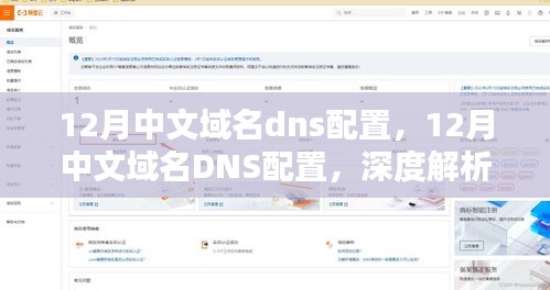 12月中文域名DNS配置详解，深度解析与观点阐述