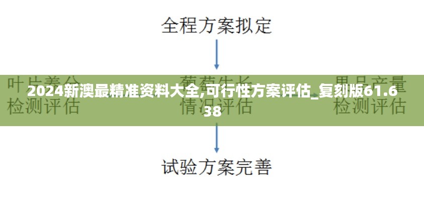2024新澳最精准资料大全,可行性方案评估_复刻版61.638
