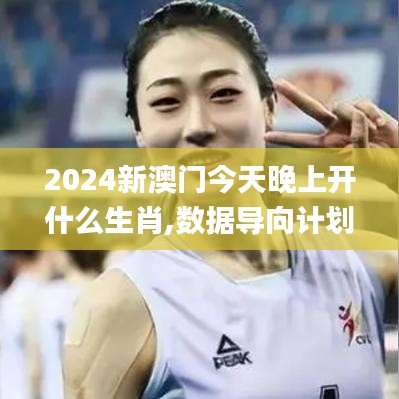 2024新澳门今天晚上开什么生肖,数据导向计划设计_快捷版74.958
