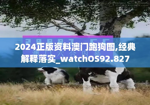 2024正版资料澳门跑狗图,经典解释落实_watchOS92.827