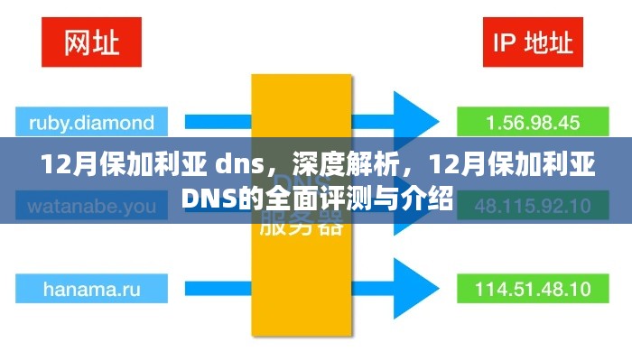 深度解析 第12页