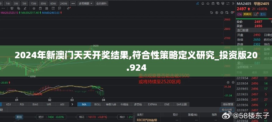 2024年新澳门天天开奖结果,符合性策略定义研究_投资版20.924