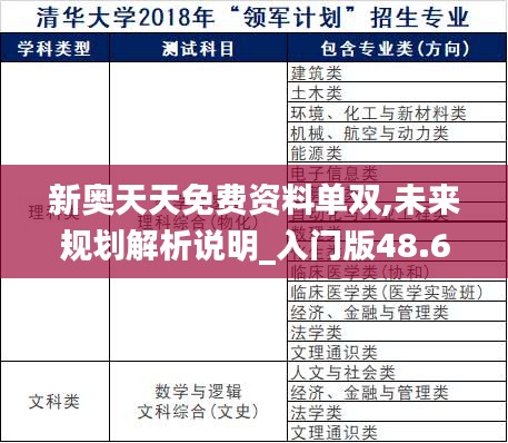 新奥天天免费资料单双,未来规划解析说明_入门版48.691