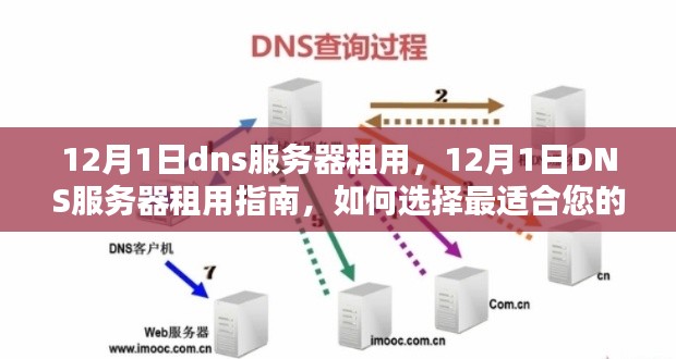 12月1日DNS服务器租用全攻略，如何选择最适合您的服务？