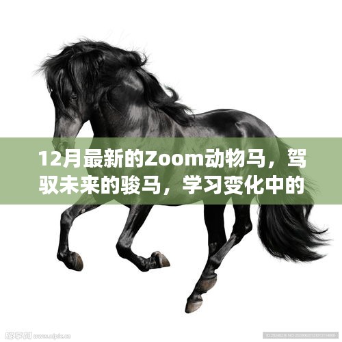 与十二月最新Zoom动物马共舞，驾驭未来的骏马，体验自信与成就感的学习之旅。