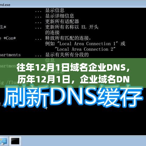 历年12月1日企业域名DNS回顾与解析故事