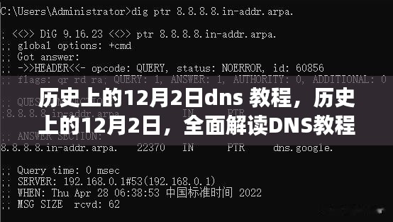 历史上的12月2日DNS教程深度解析，优缺点与体验全面解读