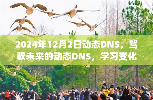 驾驭未来，动态DNS学习之旅，自信成就梦想启程