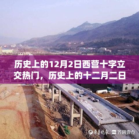 花开无言 第4页