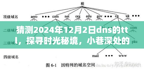 时光秘境探寻，2024年DNS的TTL猜想与小巷特色小店探索