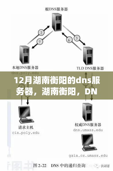 金石为开 第3页
