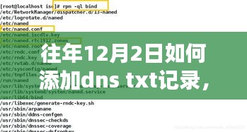 如何添加DNS TXT记录，解析方法与观点阐述的考量（往年12月2日指南）