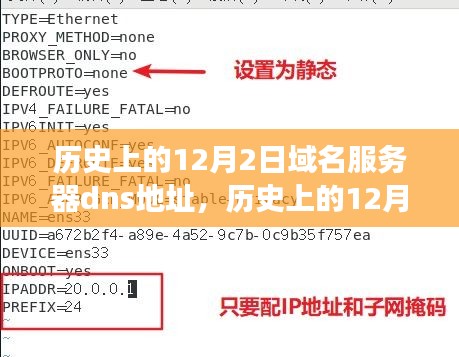 历史上的12月2日域名服务器DNS地址演变及其影响，一种观点深度解析