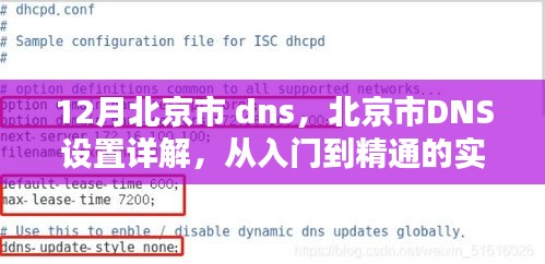 北京DNS设置详解，从入门到精通的实操指南