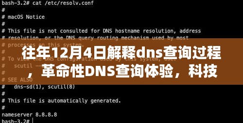 慎重其事 第4页